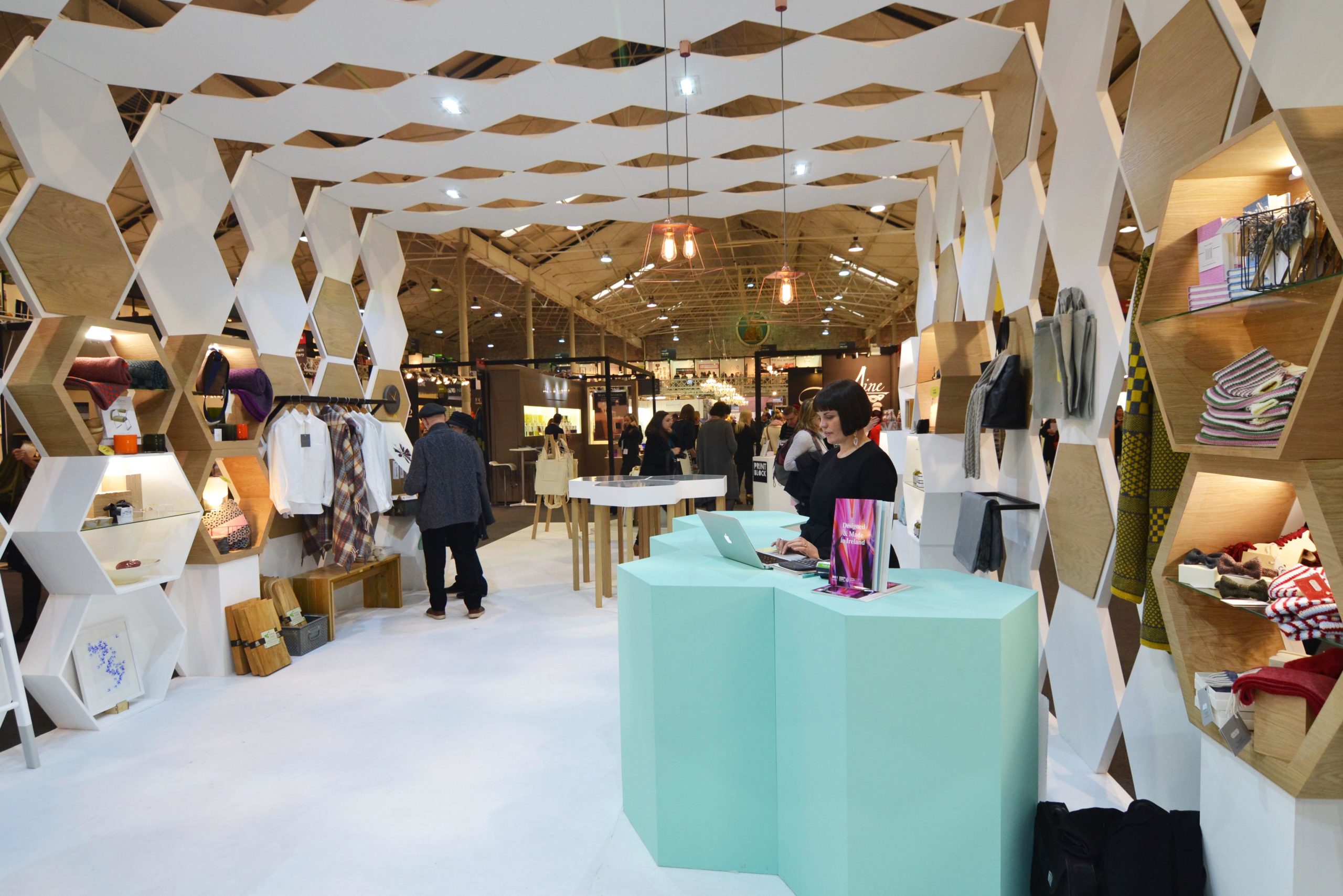 Design & Craft Council of Ireland Installation image 2