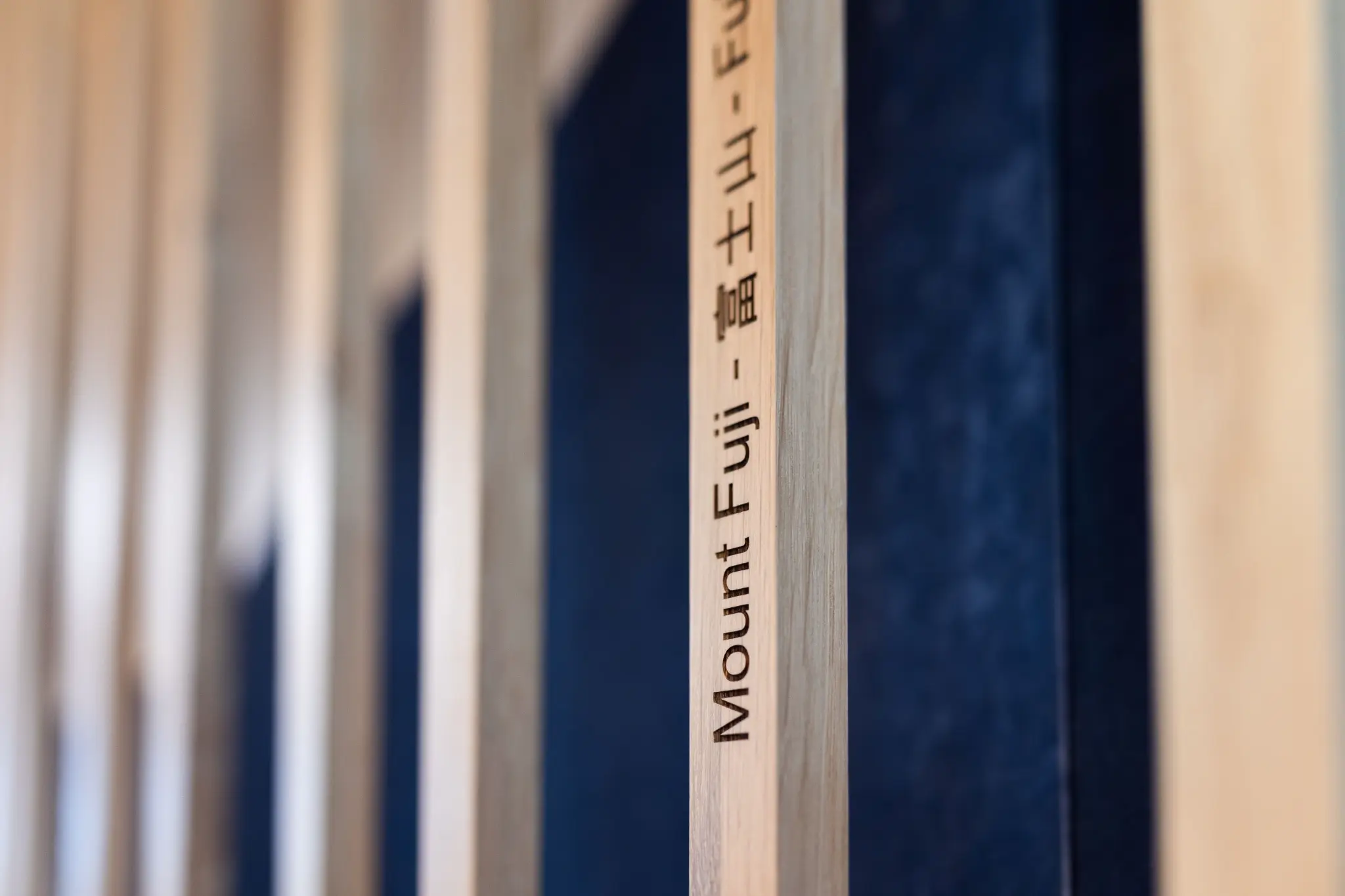 SMBC Aviation Dublin 3D Feature Wall — Mount Fuji lettering detail